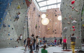 Vitam – Climbing wall