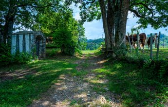 Rando’bus Morillon – Châtillon sur Cluses