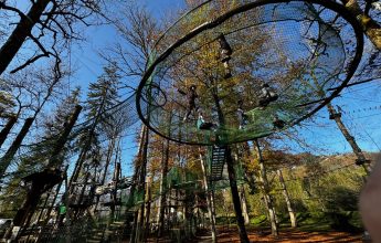 Les cages de l’écureuil