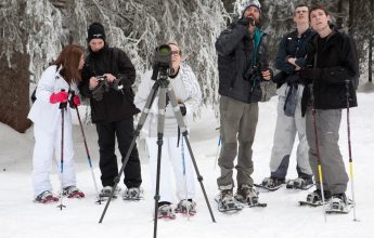 Randonnée accompagnée en raquettes : La vie de la forêt en montagne