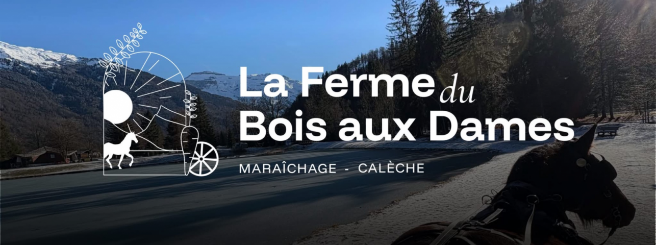 La ferme du Bois au Dames_Samoëns