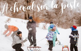 Straddling the sled