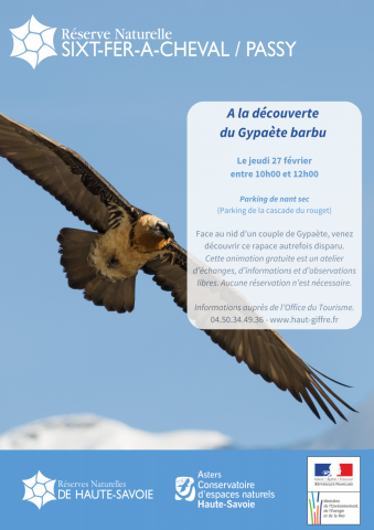 Discovering the Bearded Vulture_Sixt-Fer-à-Cheval